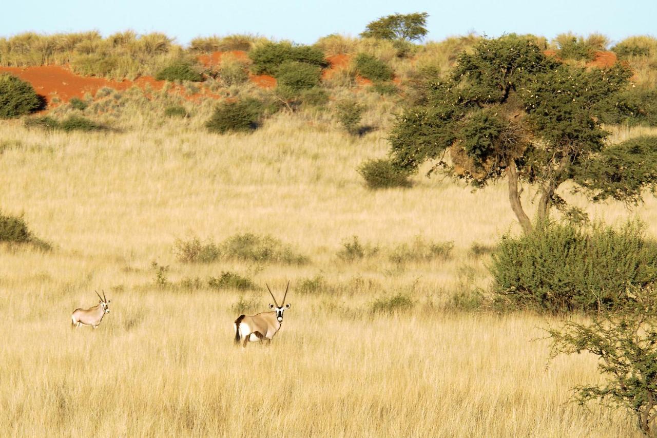 Gondwana Kalahari Anib Lodge Hardap Екстериор снимка