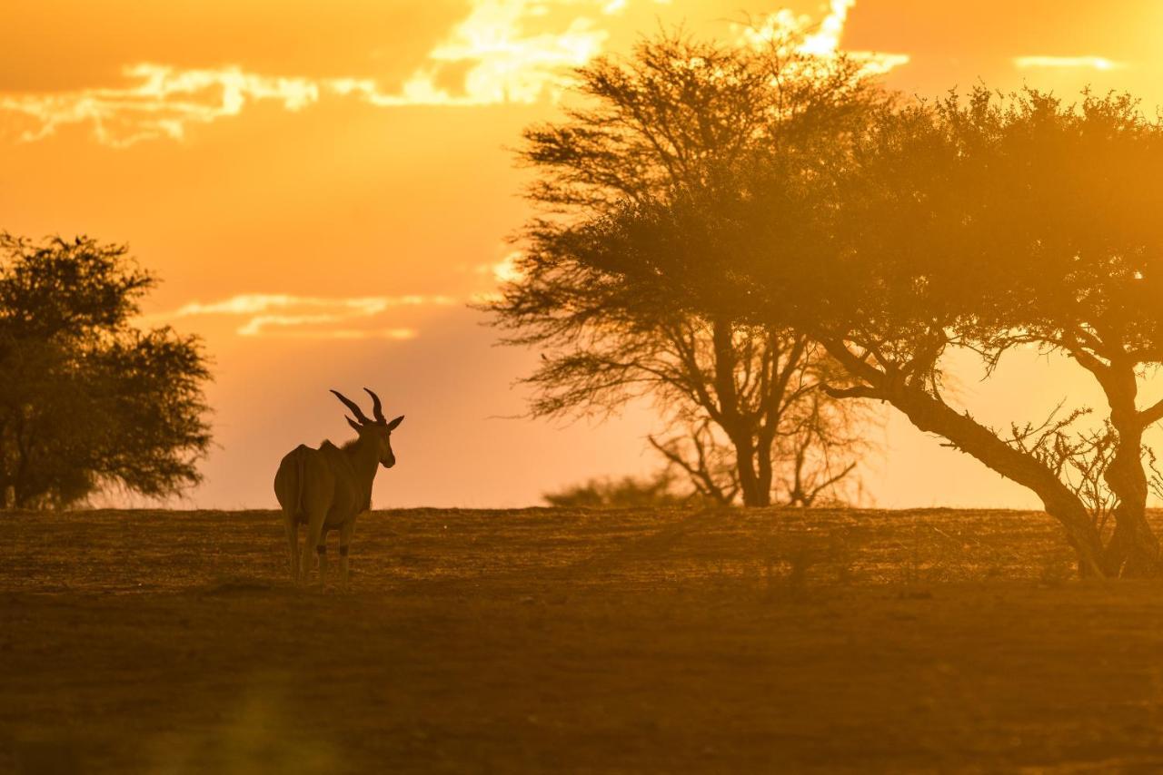 Gondwana Kalahari Anib Lodge Hardap Екстериор снимка
